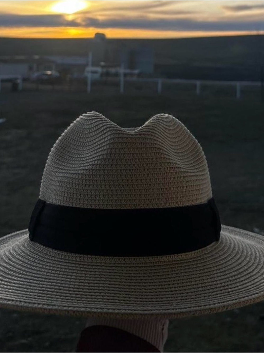 Classic Wide-Brim Straw Fedora Hat with Black Band - Neutral